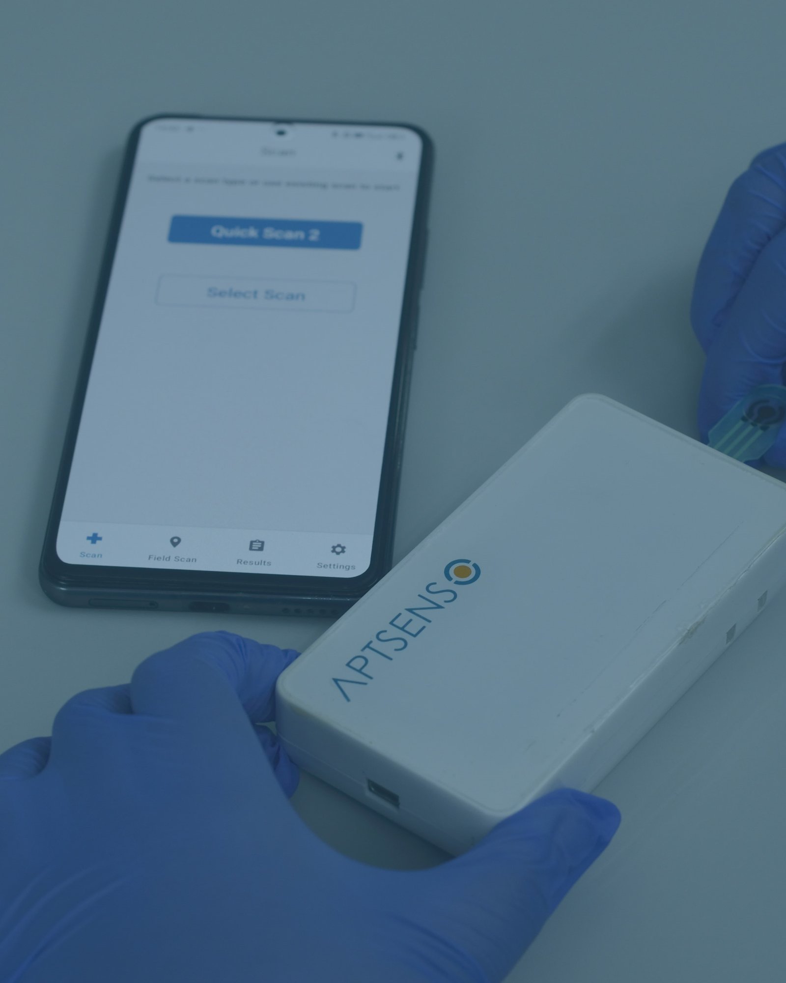 A side view of a plate of figs and berries.